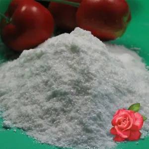 Auxin Alpha NAA Ấn độ 99% (Chất kích thích ra rễ)
