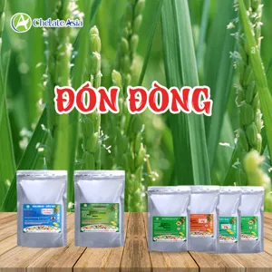 Bộ nguyên liệu Combo Đón đòng cho lúa gồm DA-6, Brassinolide, Triacontanol, Solubor và Kẽm EDTA
