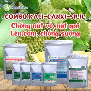 Bộ nguyên liệu Combo Kali-Canxi-Silic gồm kali silicat, axit fulvic, canxi chelate, Solubor và DA-6