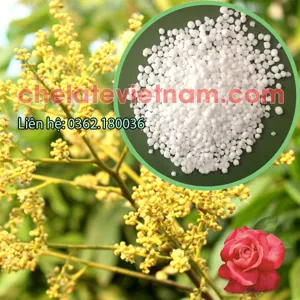 Canxi Nitrat cấp phân bón (5Ca(NO3)2.NH4NO3.10H2O) CaO = 26%; N = 15,5%