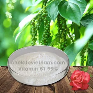 Vitamin B1 (Thiamin 99%) nguyên chất (Tăng sinh trưởng cây trồng, vật nuôi)