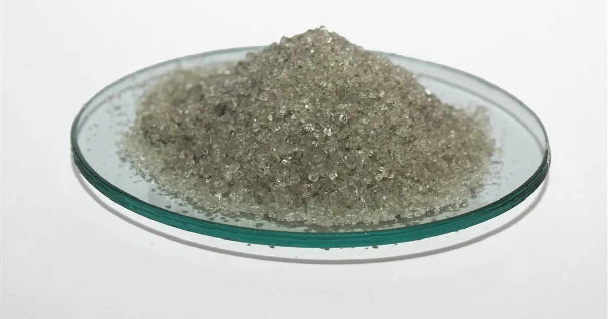 Mẫu phân amoni sunfat (SA) dạng tinh thể trên đĩa thủy tinh