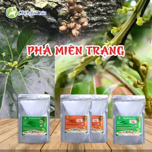 Bộ nguyên liệu Combo Phá miên trạng gồm Brassinolide 0,15%, Triacontanol 1,5% và Compound Sodium Nitrophenolate