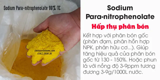 Bán Sodium Para-nitrophenolate 99% TC (kích thích hấp thụ phân bón) tan trong nước
