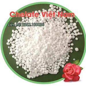 Canxi Nitrat cấp phân bón (5Ca(NO3)2.NH4NO3.10H2O) CaO = 26%; N = 15,5%