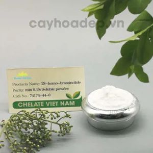 Brassinolide 0.15% SP (Giải độc cây trồng) Hormone thực vật tan trong nước
