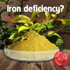 Vi lượng Sắt Chelate (Fe-EDTA-13) tan hoàn toàn trong nước