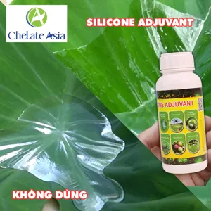 SILICONE ADJUVANT tăng khả năng lan trải, thẩm thấu hoạt chất trên bề mặt lá