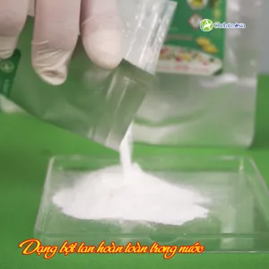 Cytokinin Zeatin 0.1%SP (Siêu kích chồi, chiết xuất từ lõi ngô)
