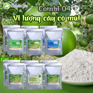 Bộ nguyên liệu Combo COMBI 04 cho cây có múi gồm Ca-EDTA, Mg-EDTA, Zn-EDTA, Mn-EDTA, Fe-EDDHA, Solubor, Amoni Molipdat và Vitamin B1