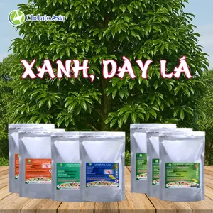Bộ nguyên liệu Combo Xanh, dày lá gồm DA-6, nitrophenolate, chelate magie, kẽm, sắt, axit amin và bột rong biển