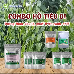 Bộ nguyên liệu combo hồ tiêu 01 gồm magie, kẽm, sắt, mangan, đồng chelate, Atonic và DA-6