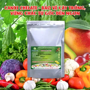 Canxi Chelate (Ca-EDTA-10) tan hoàn toàn trong nước (Bổ sung canxi, hạn chế thiếu canxi, hỗ trợ chắc quả)