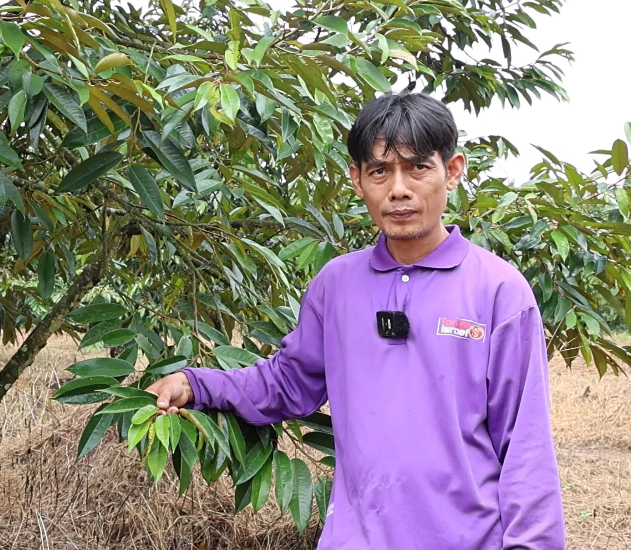 Phạm Hữu Tài