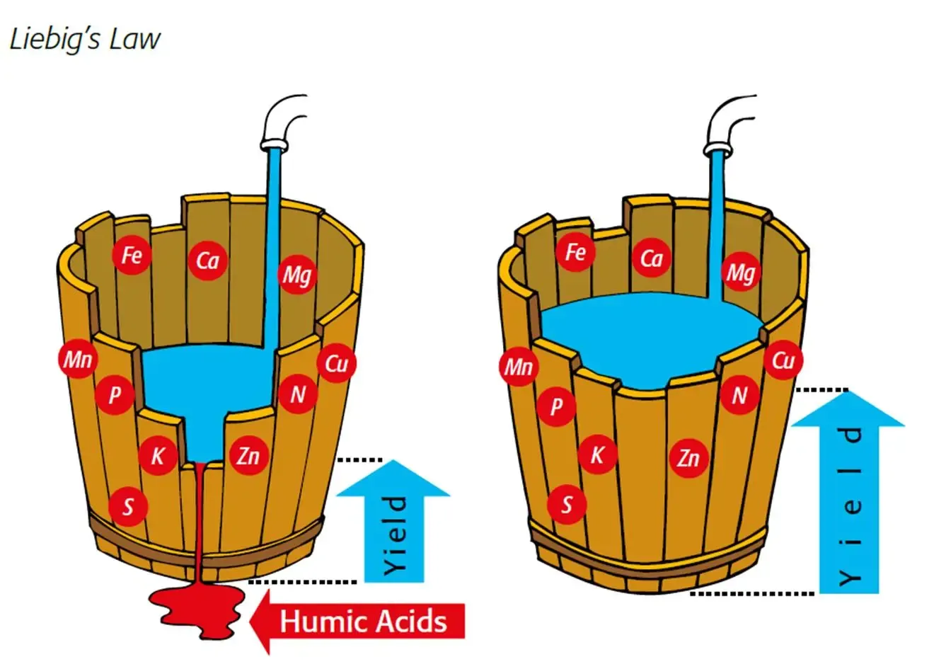 Sinh trưởng bị giới hạn bởi yếu tố khan hiếm nhất. (Copyright © Humintech 2018)