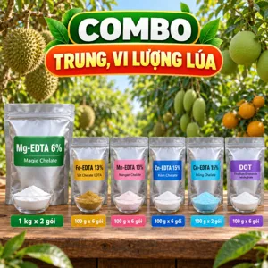 COMBO TRUNG, VI LƯỢNG LÚA – Bộ nguyên liệu tham khảo phun lá bổ sung magie, kẽm, sắt, mangan, đồng, bo cho lúa