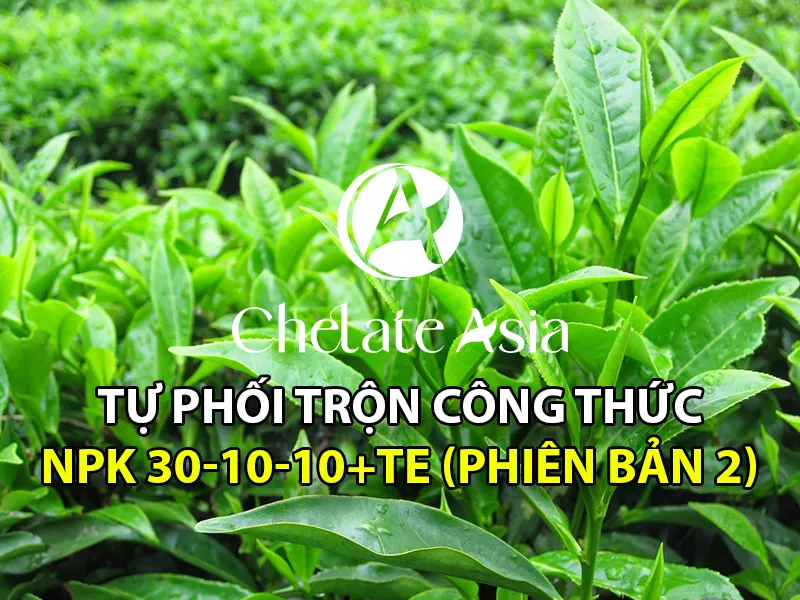 Công thức NPK 30-10-10+TE phiên bản 2