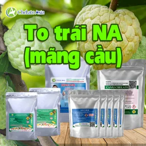 Bộ nguyên liệu Combo Nuôi quả na gồm CPPU KT-30, DA-6, Solubor, Canxi EDTA và Axit Fulvic