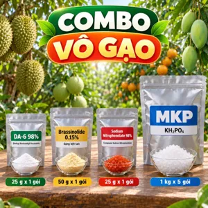 COMBO VÔ GẠO – Bộ nguyên liệu tham khảo phun lúa sau trổ, giai đoạn ngậm sữa – vào chắc