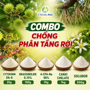 Bộ nguyên liệu Combo Chống phân tầng rời gồm 4-CPA-Na, Cytokinin DA-6, Brassinolide, canxi chelate và Solubor