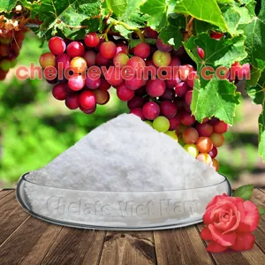 4-CPA-Na 98% (Chống phân tầng rời, hạn chế rụng trái non) 4CPA-NA
