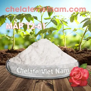 MAP 12-61 (Phân bón Mono Ammonium Phosphate) N: 12%; P2O5: 61%