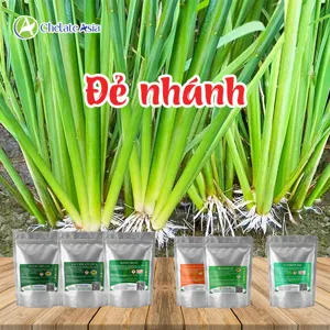 Bộ nguyên liệu Combo Đẻ Nhánh BRASS-DA6 gồm DA-6, Brassinolide 0.15% và Nitrophenolate