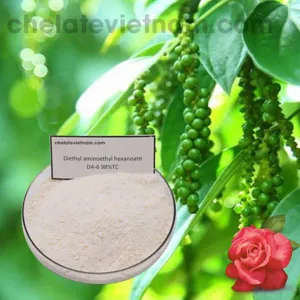 Cytokinin DA6 98% (Diethyl Aminoethyl Hexanoate) Trẻ hóa tế bào, giải độc thuốc cỏ, tăng trao đổi chất DA-6