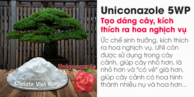 Bán Uniconazole 5WP (Ức chế sinh trưởng, kích thích ra hoa, tạo dáng cây)