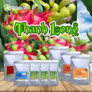 Bộ nguyên liệu Combo Thanh Long gồm GA3, CPPU, DA-6, nitrophenolate và vi lượng chelate Mg, Zn, Solubor
