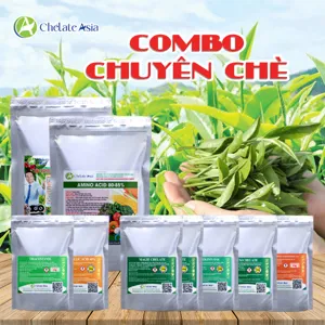 Bộ nguyên liệu Combo Bật Búp cho cây chè gồm GA3 40%, DA-6, Triacontanol, Atonic, Mg-EDTA và Zn-EDTA