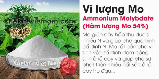 Bán Ammonium Molybdate (vi lượng Molipden)
