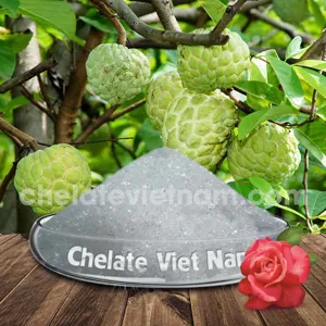 Canxi Nitrat cấp phân bón (5Ca(NO3)2.NH4NO3.10H2O) CaO = 26%; N = 15,5%