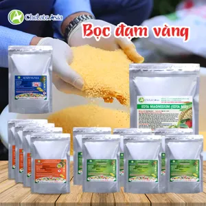 Bộ nguyên liệu Combo vi lượng đạm vàng gồm Na-NAA, Compound Sodium Nitrophenolate, magie, kẽm, sắt, mangan chelate và Solubor