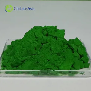 Bột Rong Biển Xanh (Green Seaweed powder) - Giải pháp hữu cơ toàn diện cho nông nghiệp