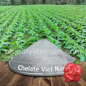Canxi Nitrat cấp phân bón (5Ca(NO3)2.NH4NO3.10H2O) CaO = 26%; N = 15,5%