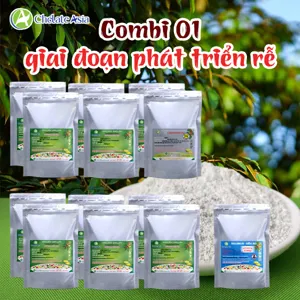 Bộ nguyên liệu Combo COMBI 01 gồm Ca-EDTA, Mg-EDTA, Zn-EDTA, Mn-EDTA, Solubor, Amoni Molipdat và Vitamin B1