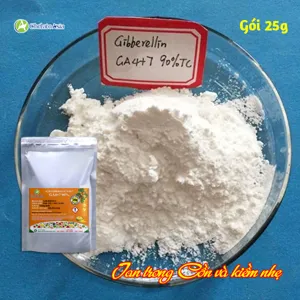 Acid Gibberellic GA4+7 90% - kích thích tăng trưởng cân đối, đồng đều (GA4+GA7)