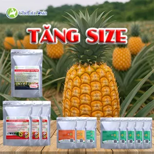 Bộ nguyên liệu Combo Tăng Size Trái gồm CPPU 2%, GA3 40%, Atonic, Kali Sunphat và Kali Silicat