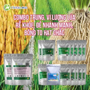 Bộ nguyên liệu combo trung, vi lượng lúa gồm magie, sắt, mangan, kẽm, đồng chelate EDTA và Solubor