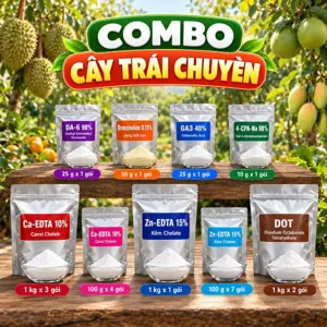 COMBO CÂY TRÁI CHUYỀN – Bộ nguyên liệu tham khảo hỗ trợ giữ hoa, trái non và bổ sung Ca, Zn, Bo cho cây ra hoa nhiều lứa