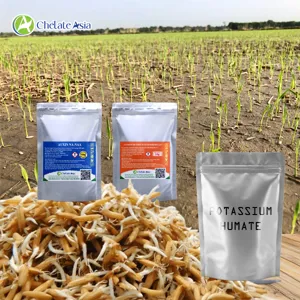 Bộ nguyên liệu Combo Lúa 1 gồm Na-NAA, Kali Humate và Compound Sodium Nitrophenolate