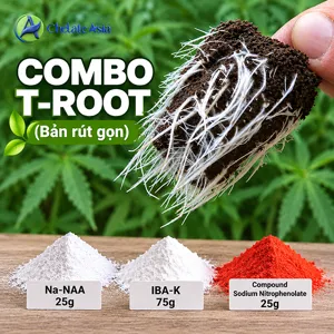 Bộ nguyên liệu Combo T-ROOT rút gọn gồm IBA-K, Na-NAA và Compound Sodium Nitrophenolate