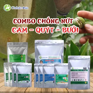 Bộ nguyên liệu combo chống nứt trái cam, quýt, bưởi gồm canxi chelate, Solubor, vi lượng chelate, axit fulvic, DA-6 và brassinolide