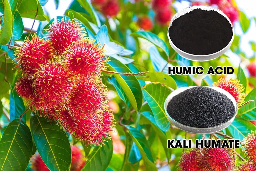 Humic và Humate cho cây trồng