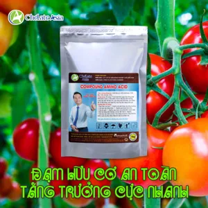Amino Acid 45% (Axit Amin) dạng bột tan 100%