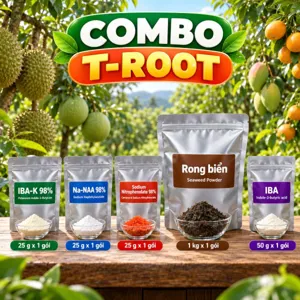 COMBO T-ROOT – Bộ nguyên liệu tham khảo hỗ trợ hình thành và phục hồi bộ rễ