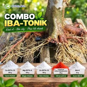 Bộ nguyên liệu Combo IBA-TONIK gồm IBA-K, Compound Sodium Nitrophenolate, Ca-EDTA, Mg-EDTA và Zn-EDTA