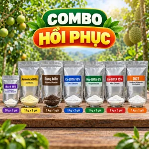 COMBO HỒI PHỤC – Bộ nguyên liệu tham khảo hỗ trợ tái tạo rễ và phục hồi tán sau thu hoạch