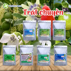Bộ nguyên liệu Combo Cây Trái Chuyền gồm GA3, 4-CPA, DA-6, Brassinolide và Solubor